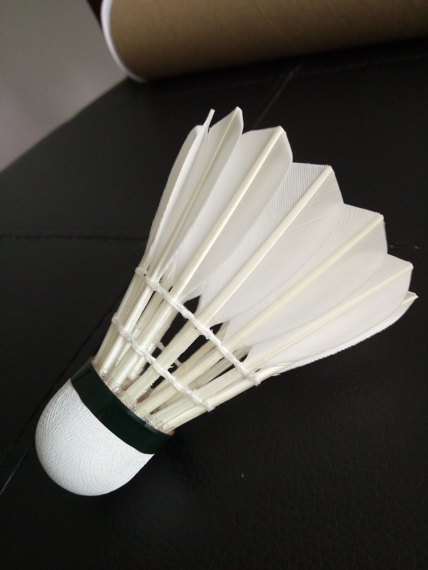 本土教练在 本土教练在